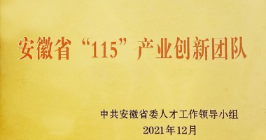 蕪湖市市委組織部為華夏光電安徽省“115”產(chǎn)業(yè)創(chuàng)新團(tuán)隊(duì)授牌